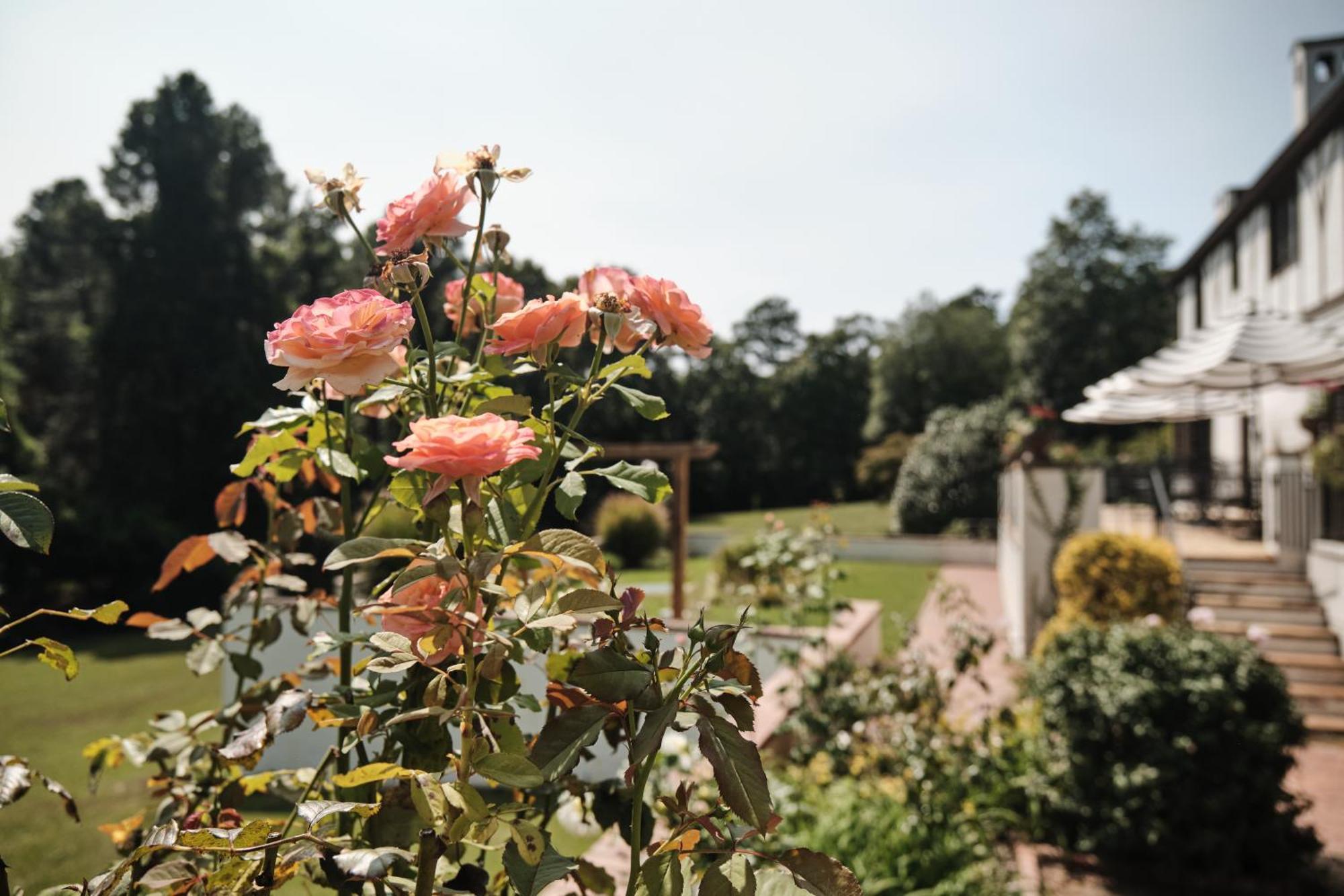 Duncraig Manor Bed and Breakfast Southern Pines Εξωτερικό φωτογραφία